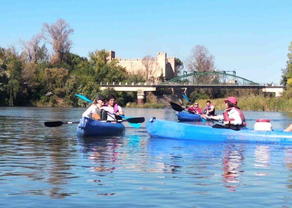 kayak 3